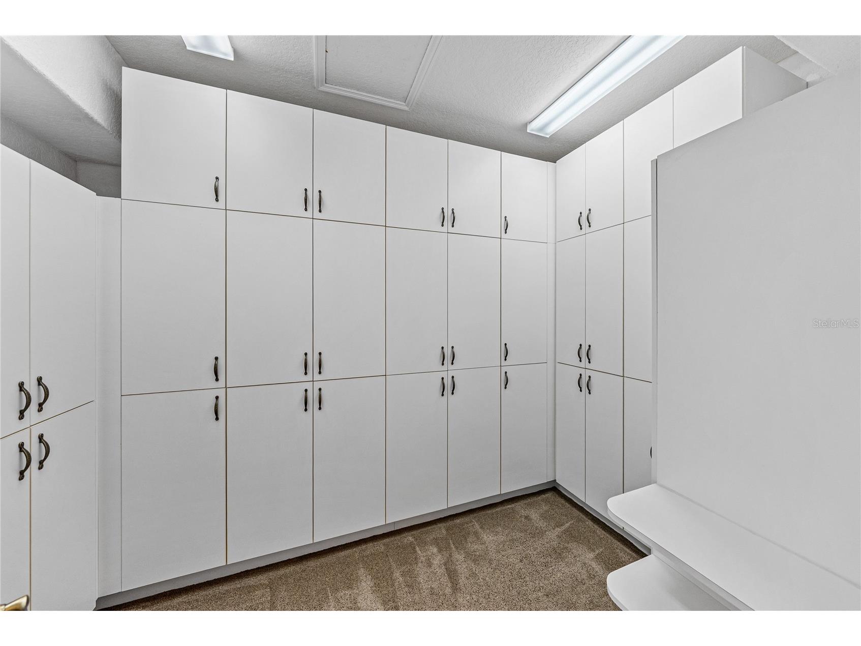 12231 Woodlands Circle Dade City FL 33525 TB8486737 image36