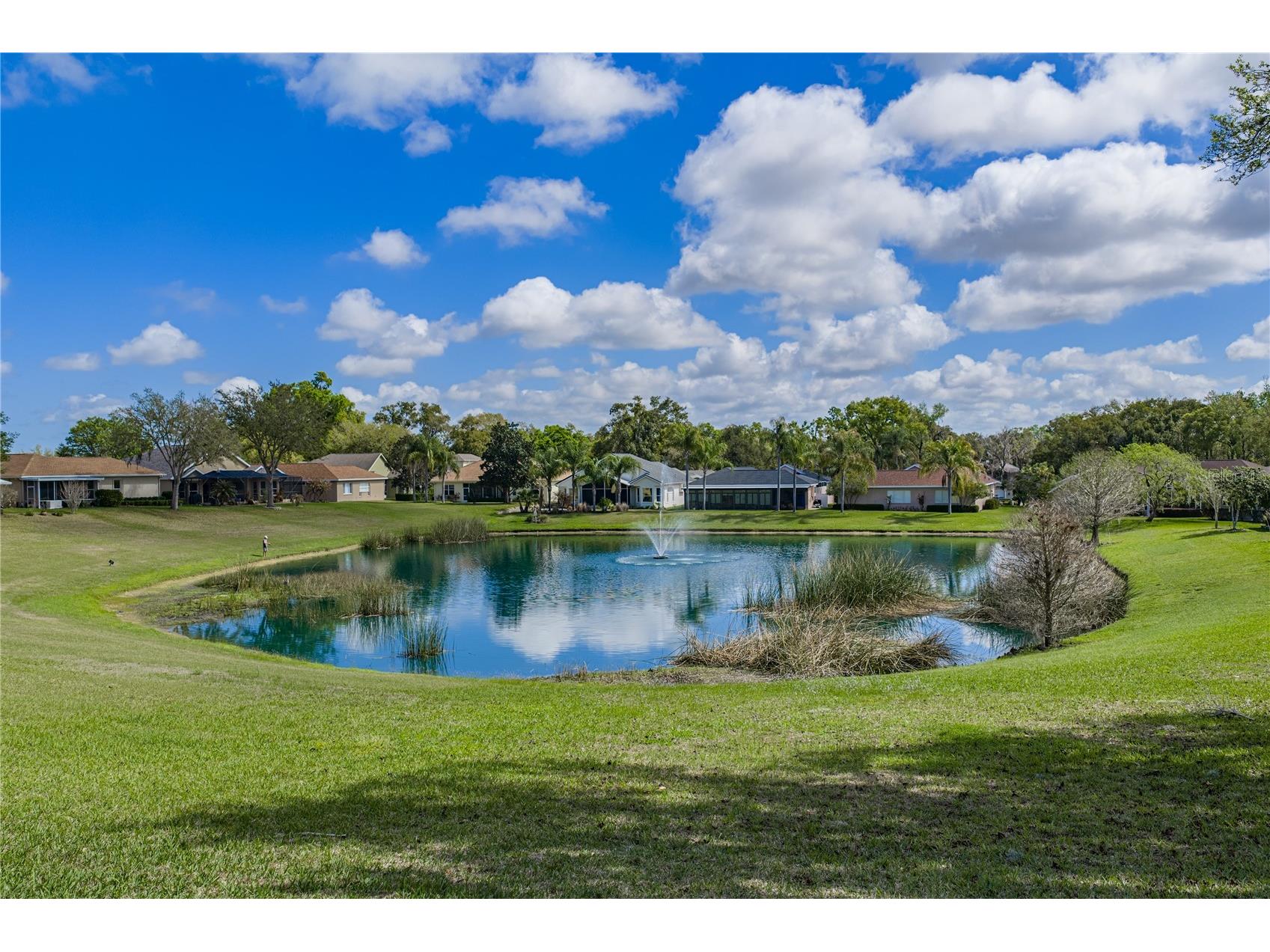 12231 Woodlands Circle Dade City FL 33525 TB8486737 image68