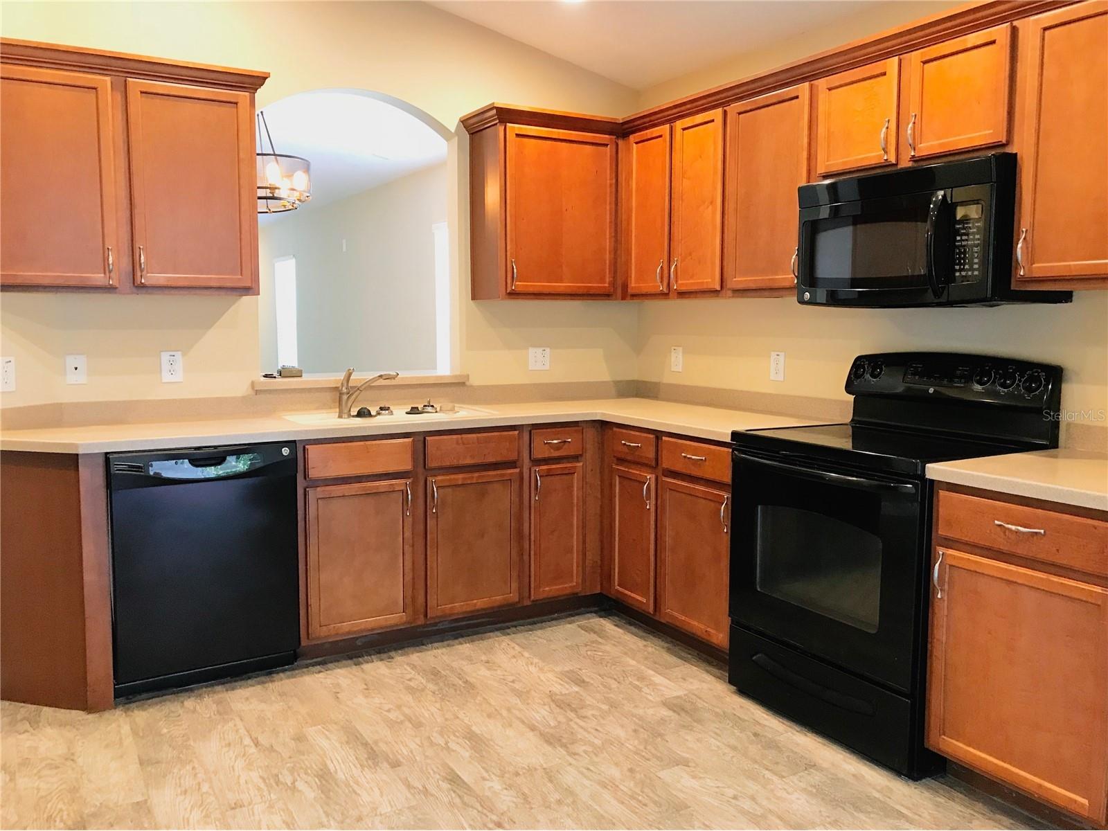 12232 Canyon Boulevard Spring Hill FL 34610 TB8508337 image8
