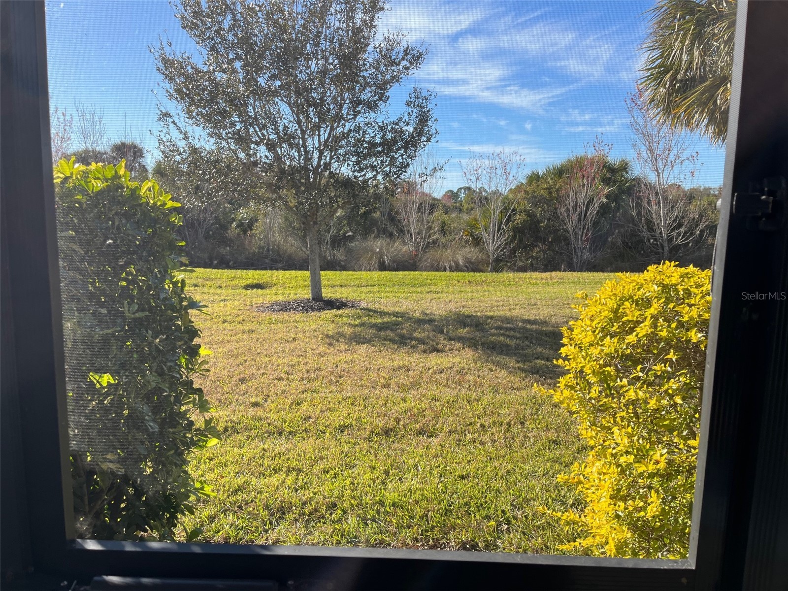 12232 Marsh Pointe Road Sarasota FL 34238 A4680601 image36