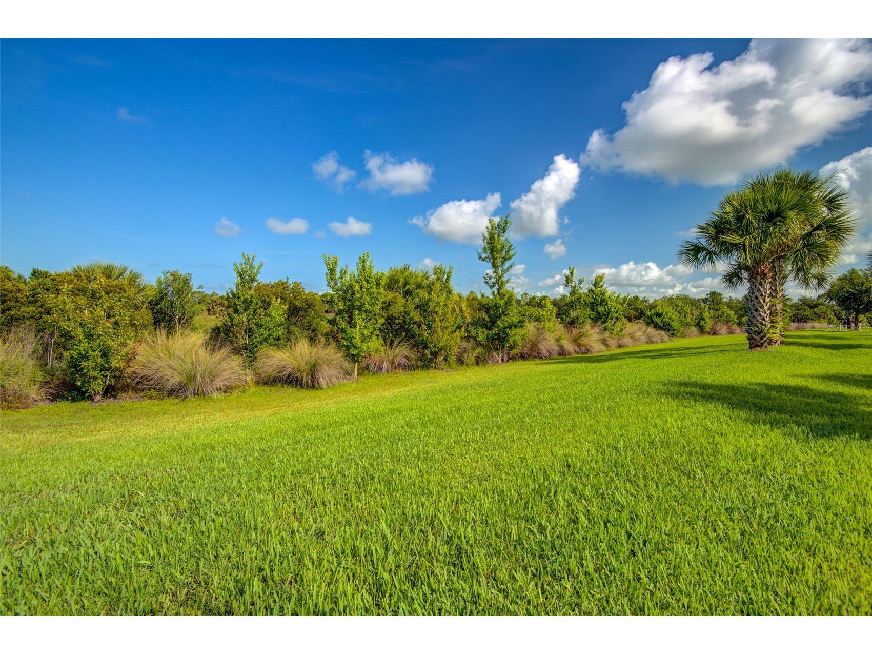 12232 Marsh Pointe Road Sarasota FL 34238 A4680601 image41