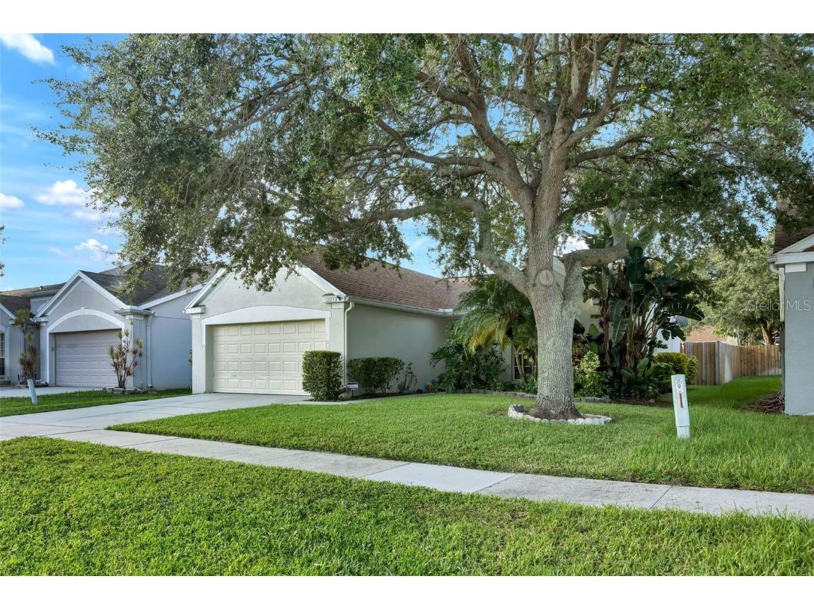 12233 Dawn Vista Drive Riverview FL 33578 TB8304930 image1