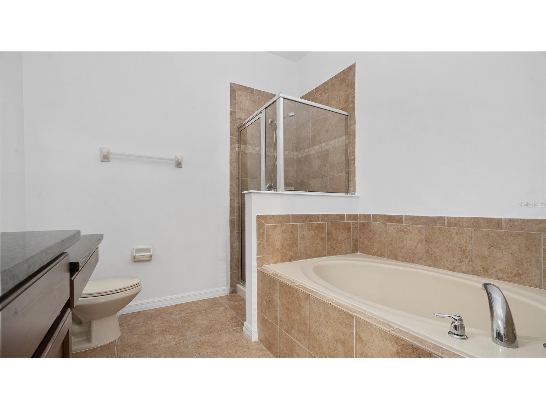 12235 Citruswood Drive Orlando FL 32832 O6388432 image12