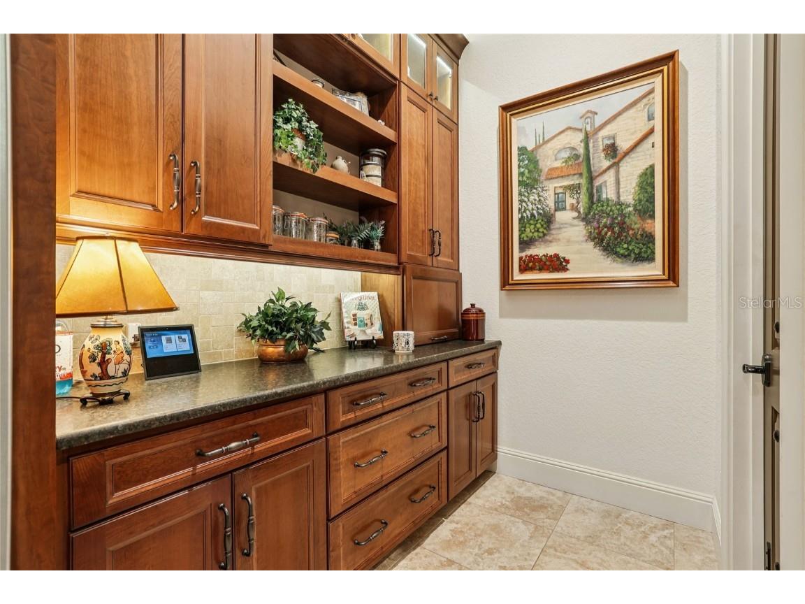 12235 Montalcino Circle Windermere FL 34786 O6365656 image28