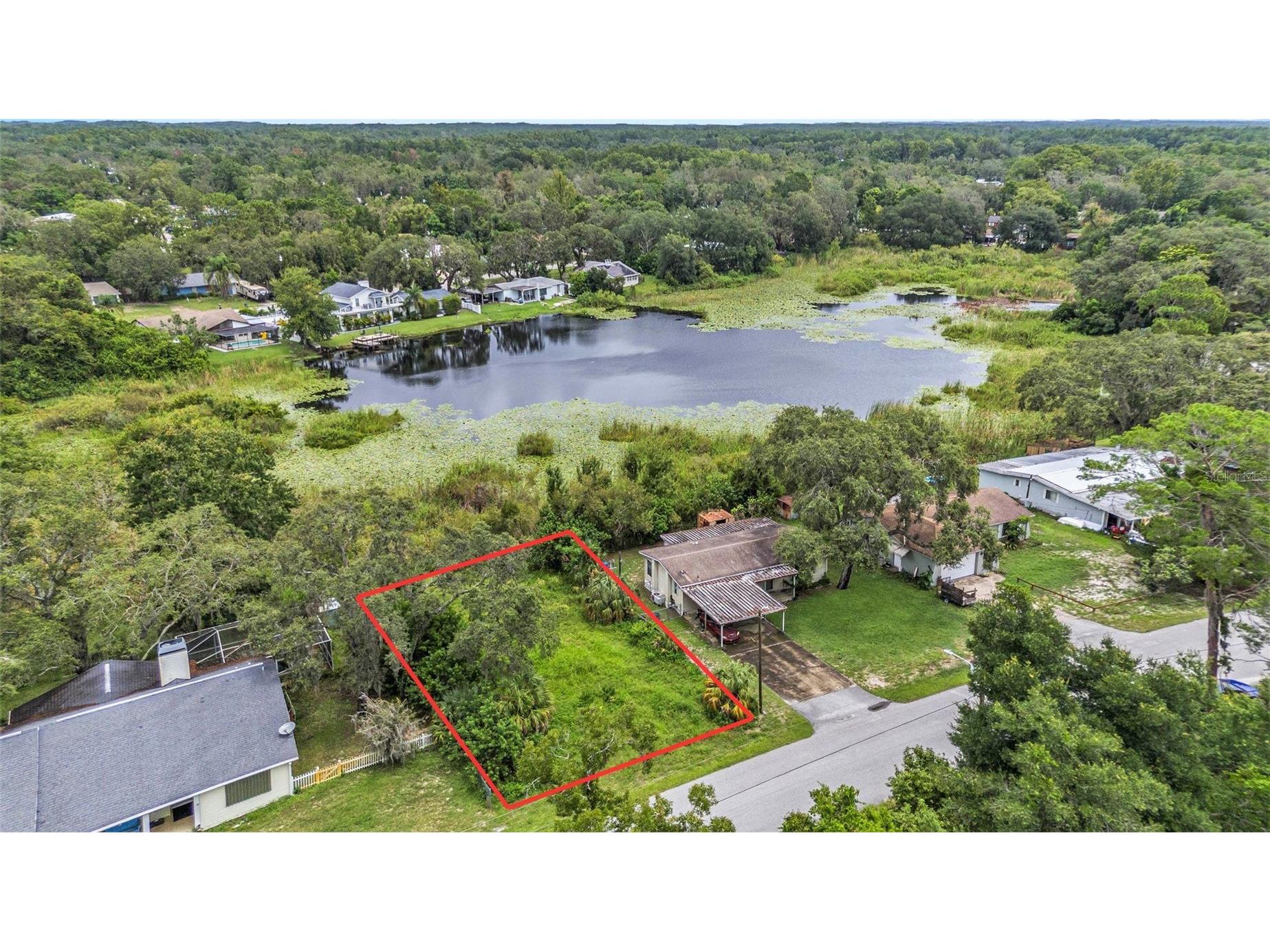 12236 Terra Ceia Avenue New Port Richey FL 34654 - Clear Lake TB8409674 image1