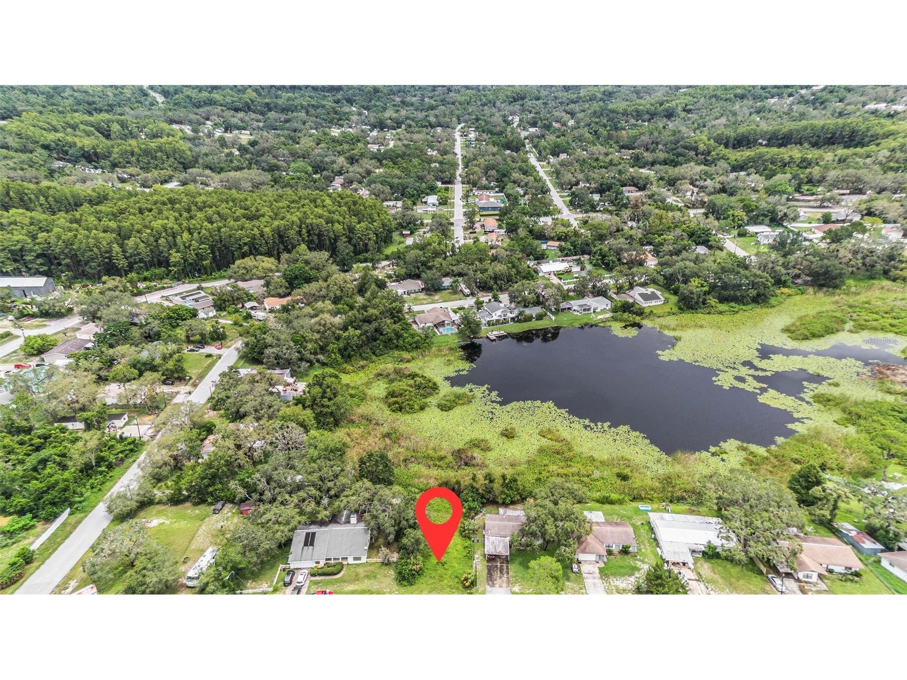 12236 Terra Ceia Avenue New Port Richey FL 34654 - Clear Lake TB8409674 image2