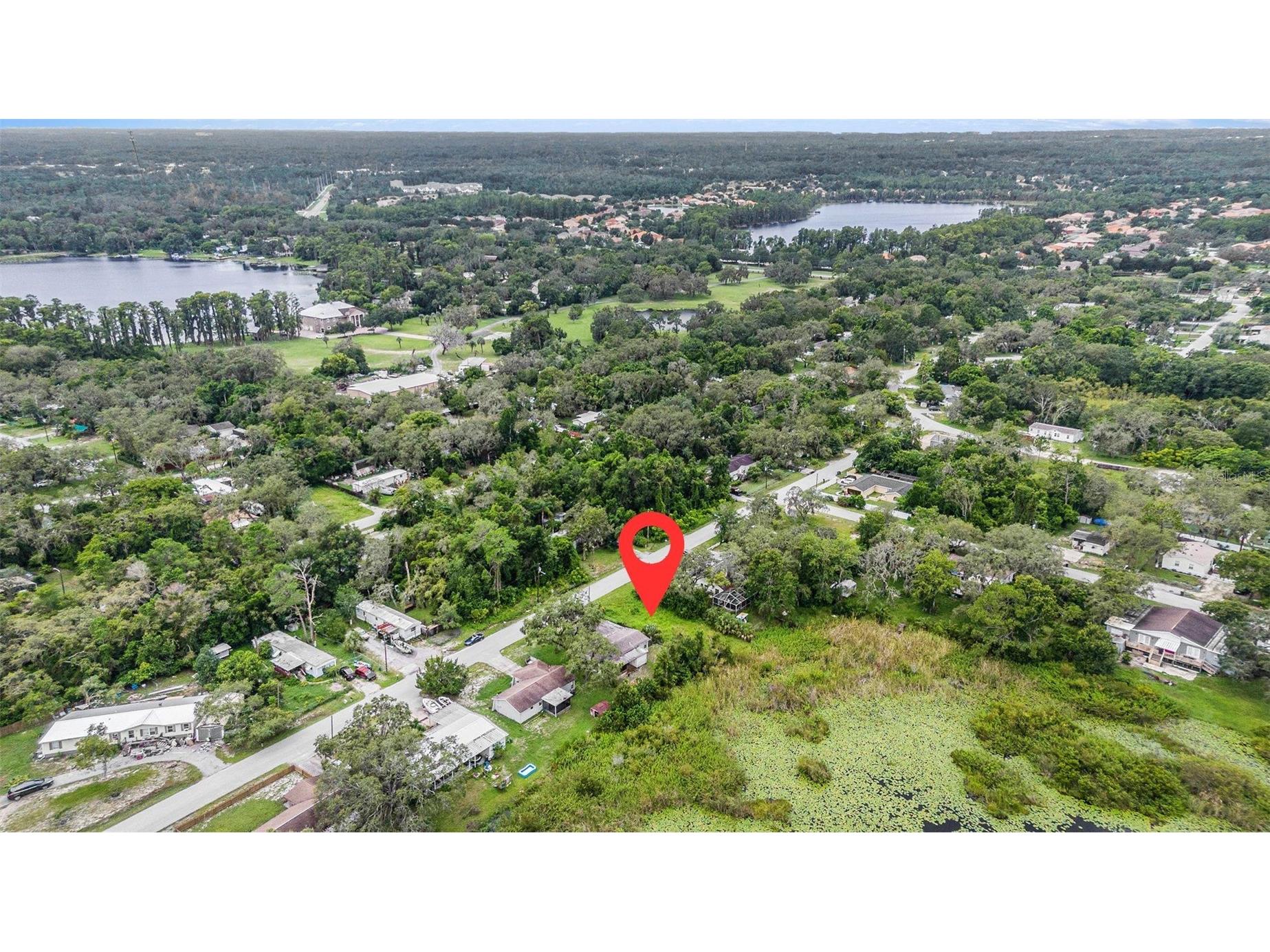 12236 Terra Ceia Avenue New Port Richey FL 34654 - Clear Lake TB8409674 image3