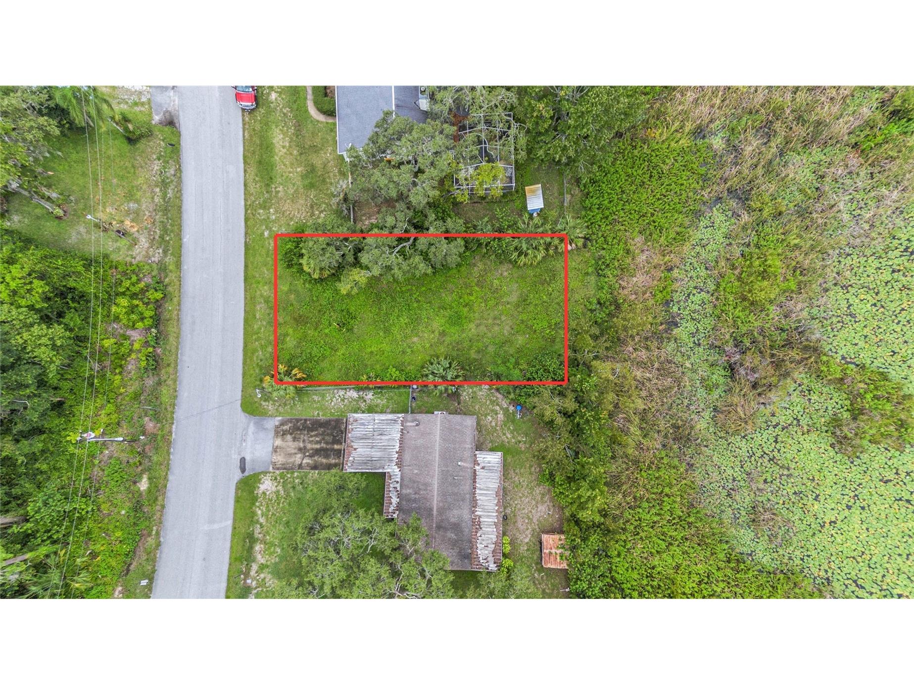 12236 Terra Ceia Avenue New Port Richey FL 34654 - Clear Lake TB8409674 image5