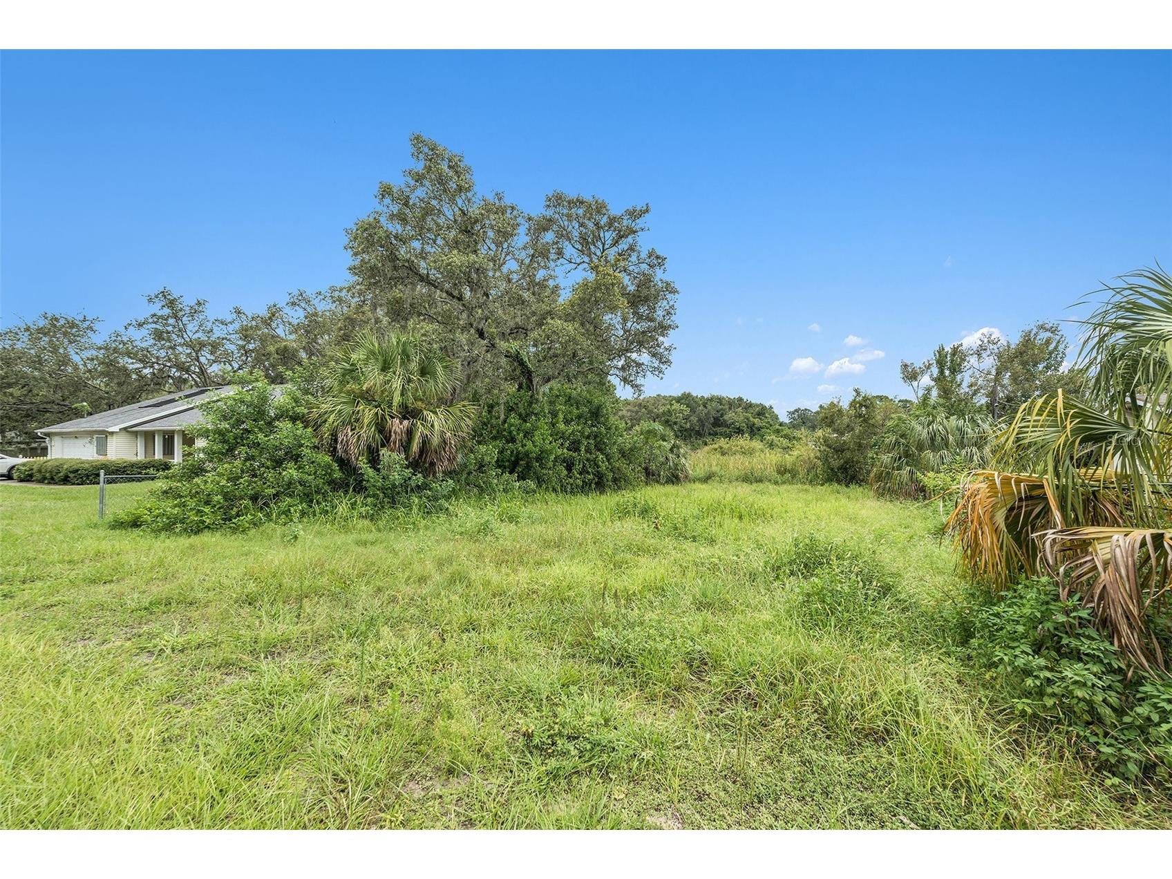 12236 Terra Ceia Avenue New Port Richey FL 34654 - Clear Lake TB8409674 image8