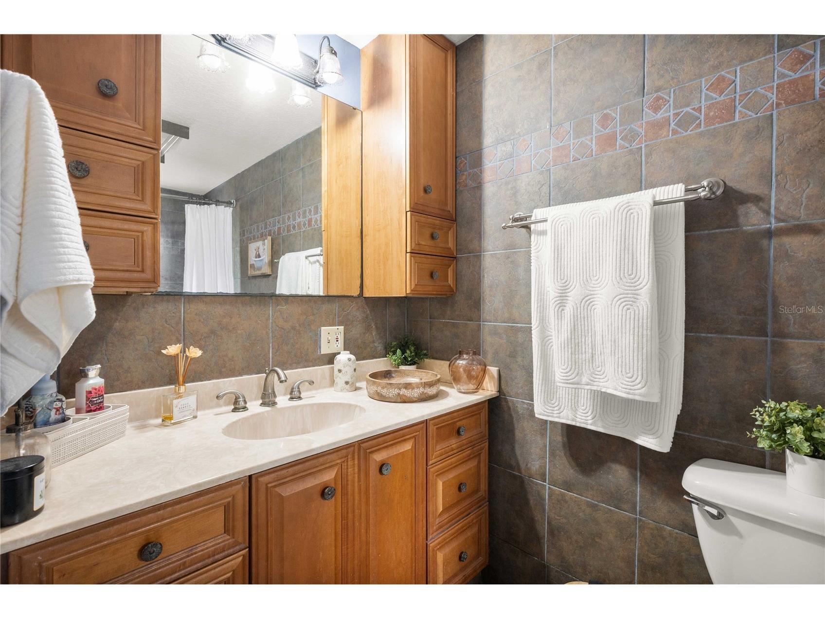 12237 Cr 727 Webster FL 33597 G5108443 image16