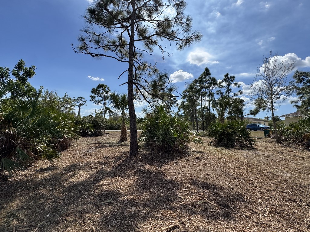 12238 Zittle Avenue Port Charlotte FL 33981 TB8487705 image10