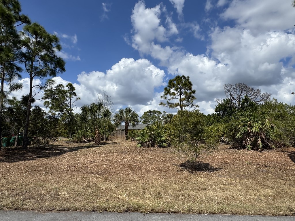 12238 Zittle Avenue Port Charlotte FL 33981 TB8487705 image2