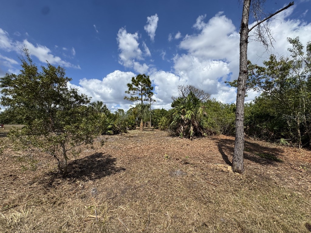 12238 Zittle Avenue Port Charlotte FL 33981 TB8487705 image3