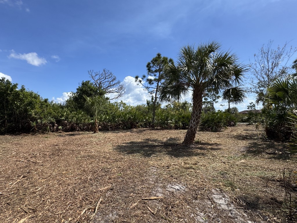 12238 Zittle Avenue Port Charlotte FL 33981 TB8487705 image9