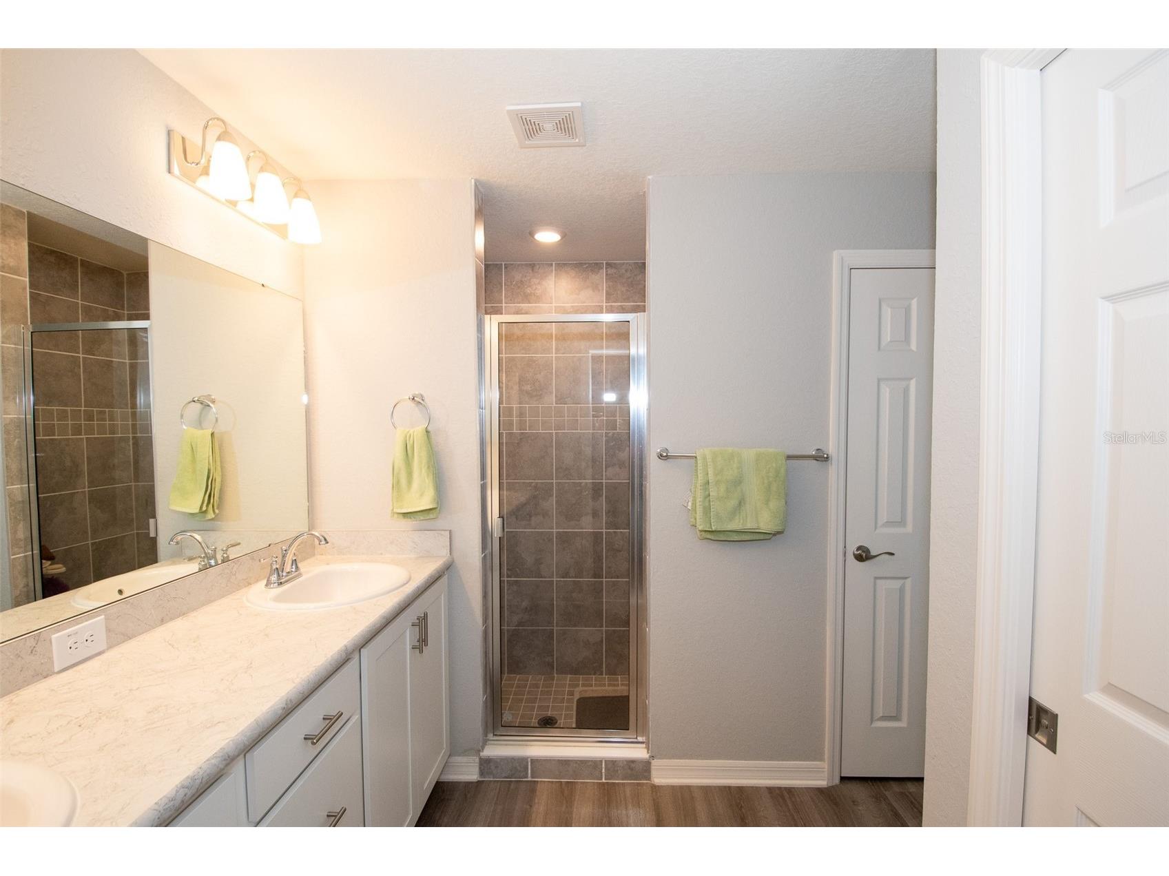 12239 Cypress Branch Street Riverview FL 33579 TB8503613 image40