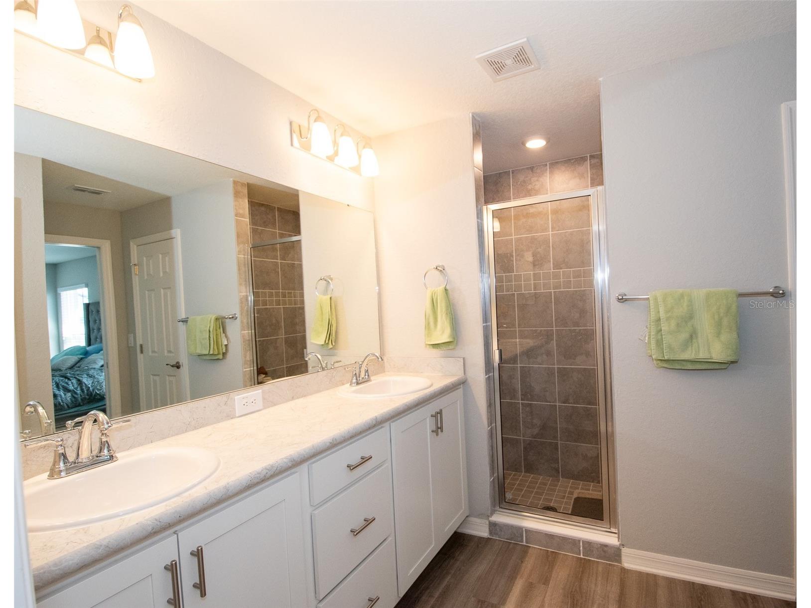 12239 Cypress Branch Street Riverview FL 33579 TB8503613 image43