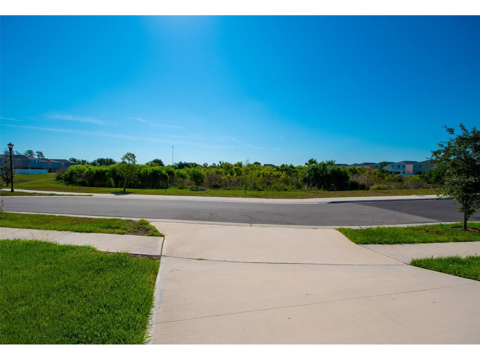 12239 Cypress Branch Street Riverview FL 33579 TB8503613 image48