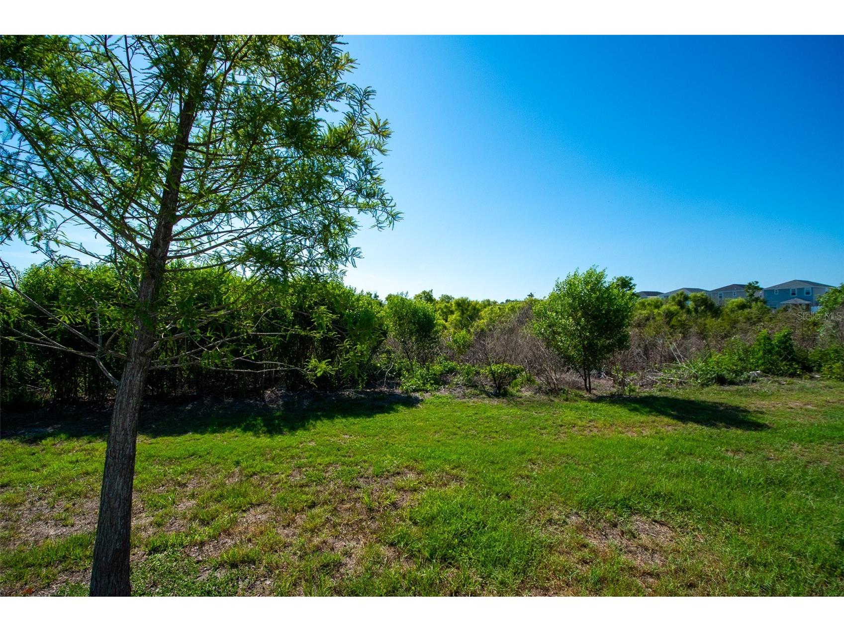 12239 Cypress Branch Street Riverview FL 33579 TB8503613 image49