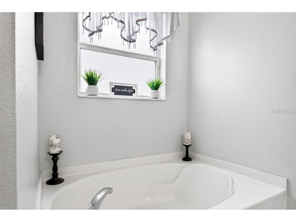 1224 Blackwater Pond Drive Orlando FL 32828 O6317695 image38