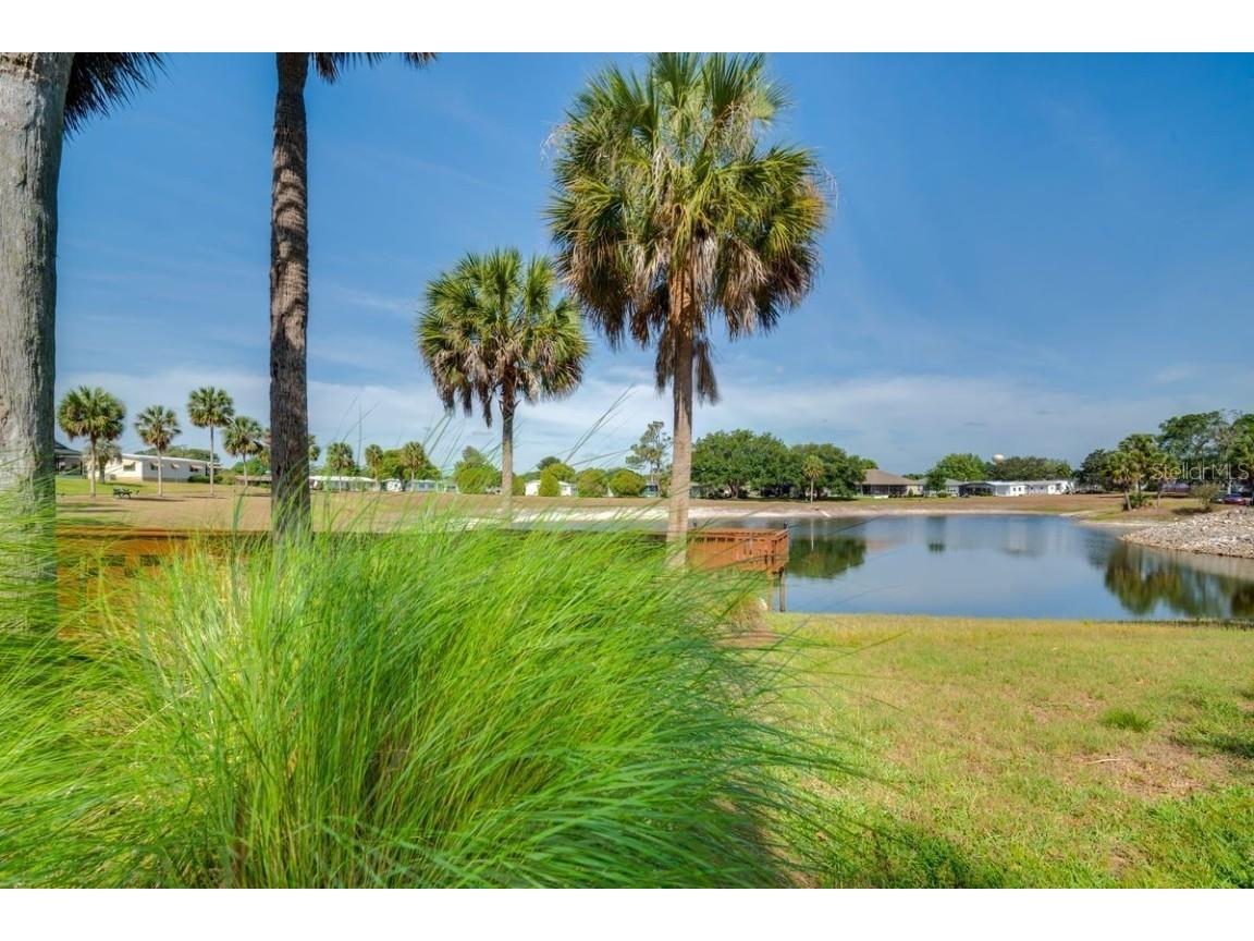 1224 Dustin Drive Lady Lake FL 32159 OM707875 image9