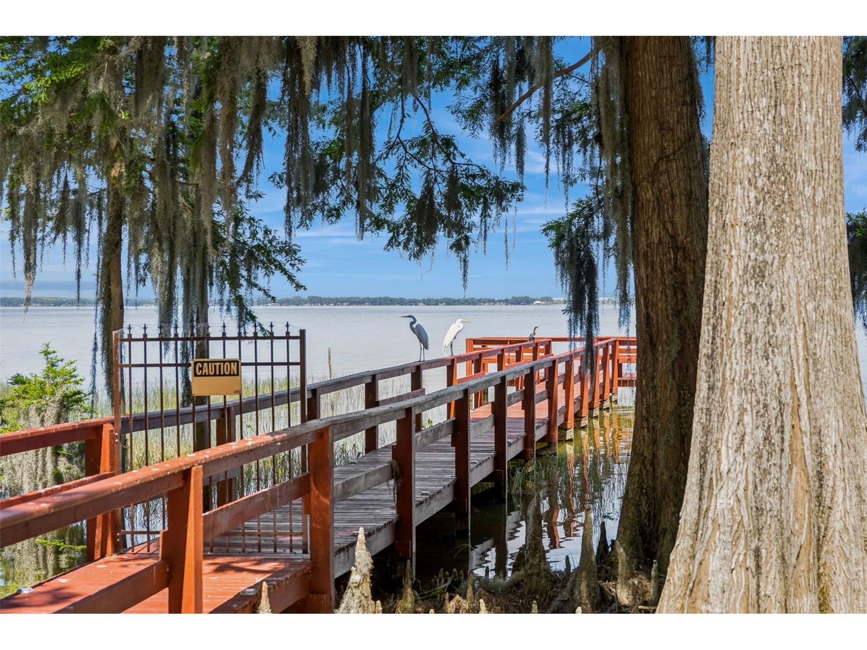 1224 Palmetto Road Eustis FL 32726 - LAKE EUSTIS G5108974 image30