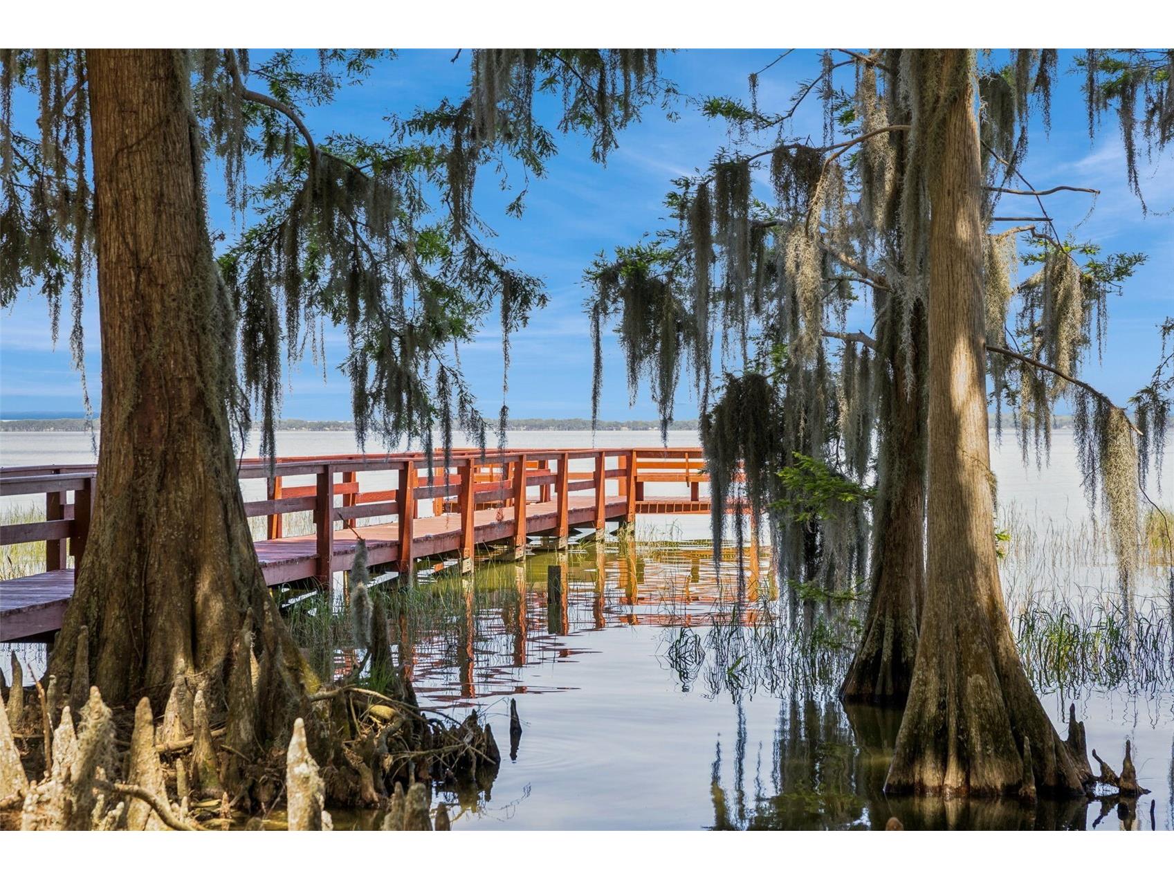 1224 Palmetto Road Eustis FL 32726 - LAKE EUSTIS G5108974 image31