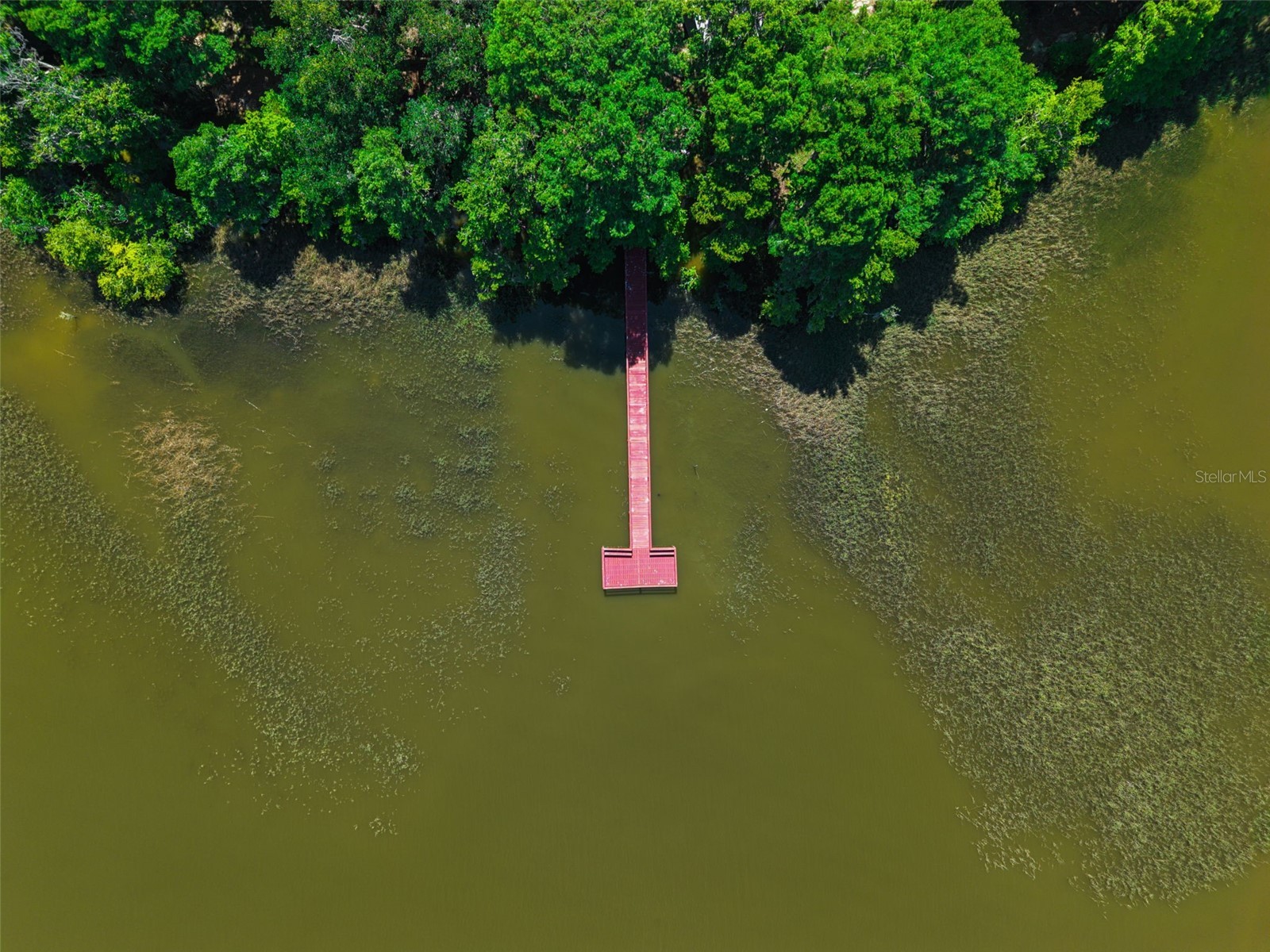 1224 Palmetto Road Eustis FL 32726 - LAKE EUSTIS G5108974 image32