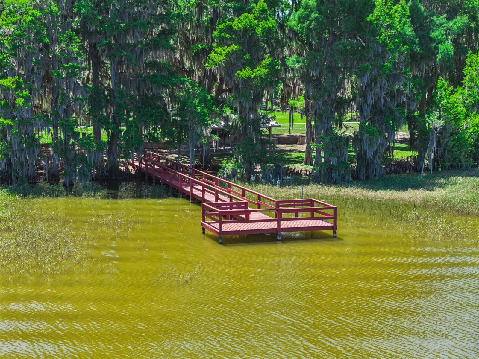 1224 Palmetto Road Eustis FL 32726 - LAKE EUSTIS G5108974 image33