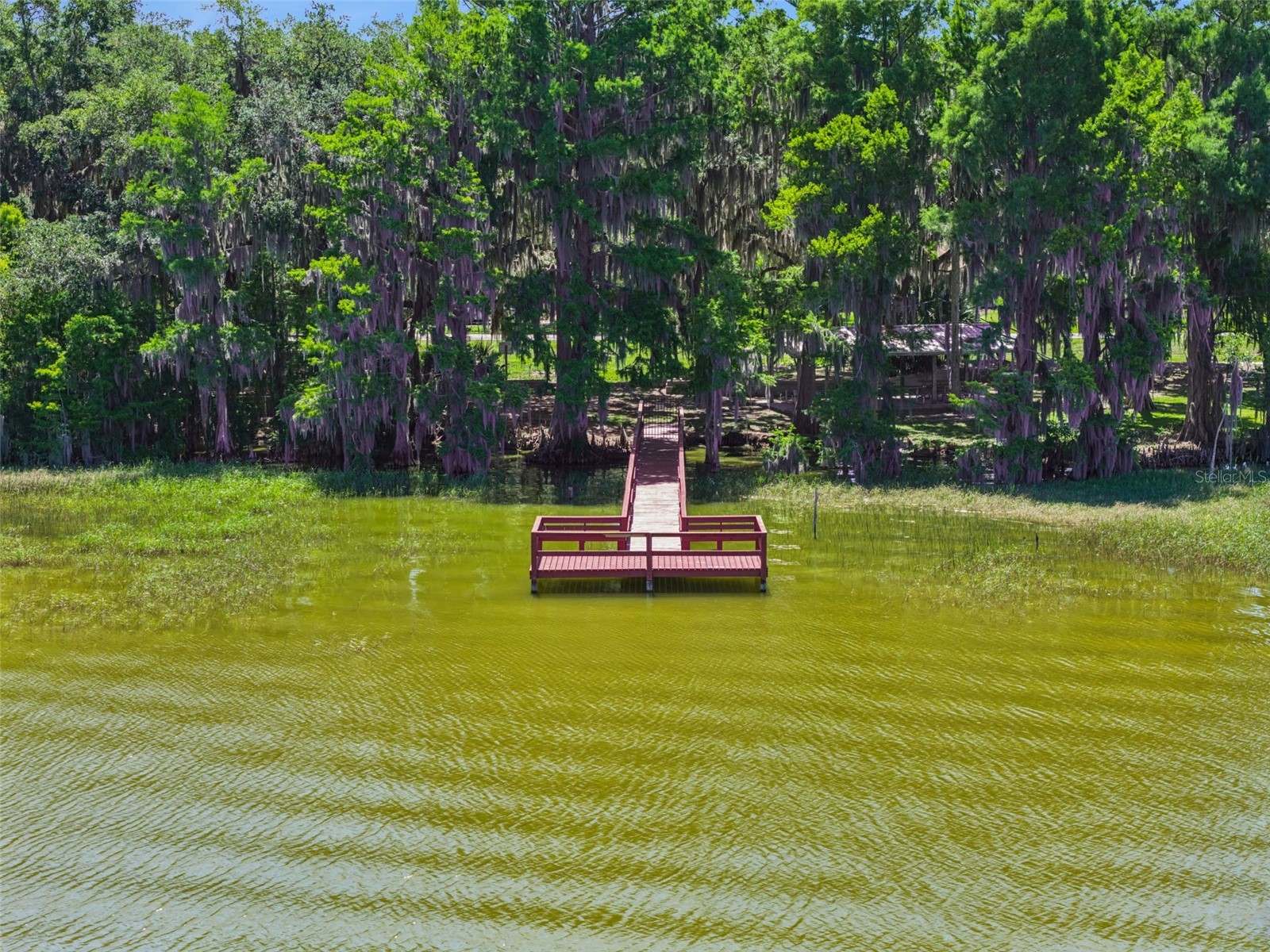 1224 Palmetto Road Eustis FL 32726 - LAKE EUSTIS G5108974 image34