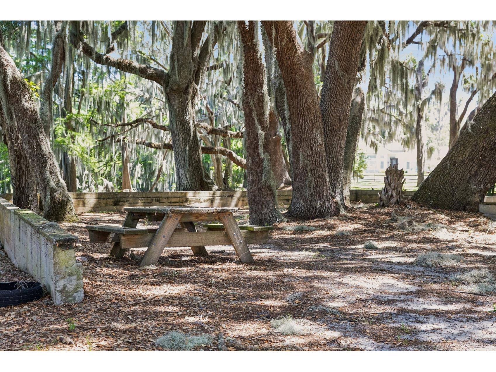 1224 Palmetto Road Eustis FL 32726 - LAKE EUSTIS G5108974 image37