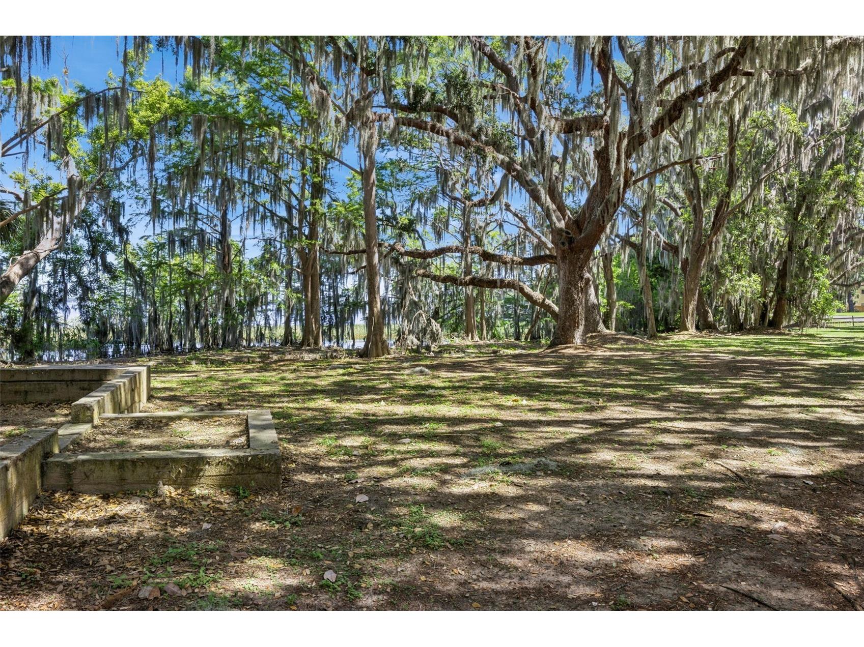 1224 Palmetto Road Eustis FL 32726 - LAKE EUSTIS G5108974 image39