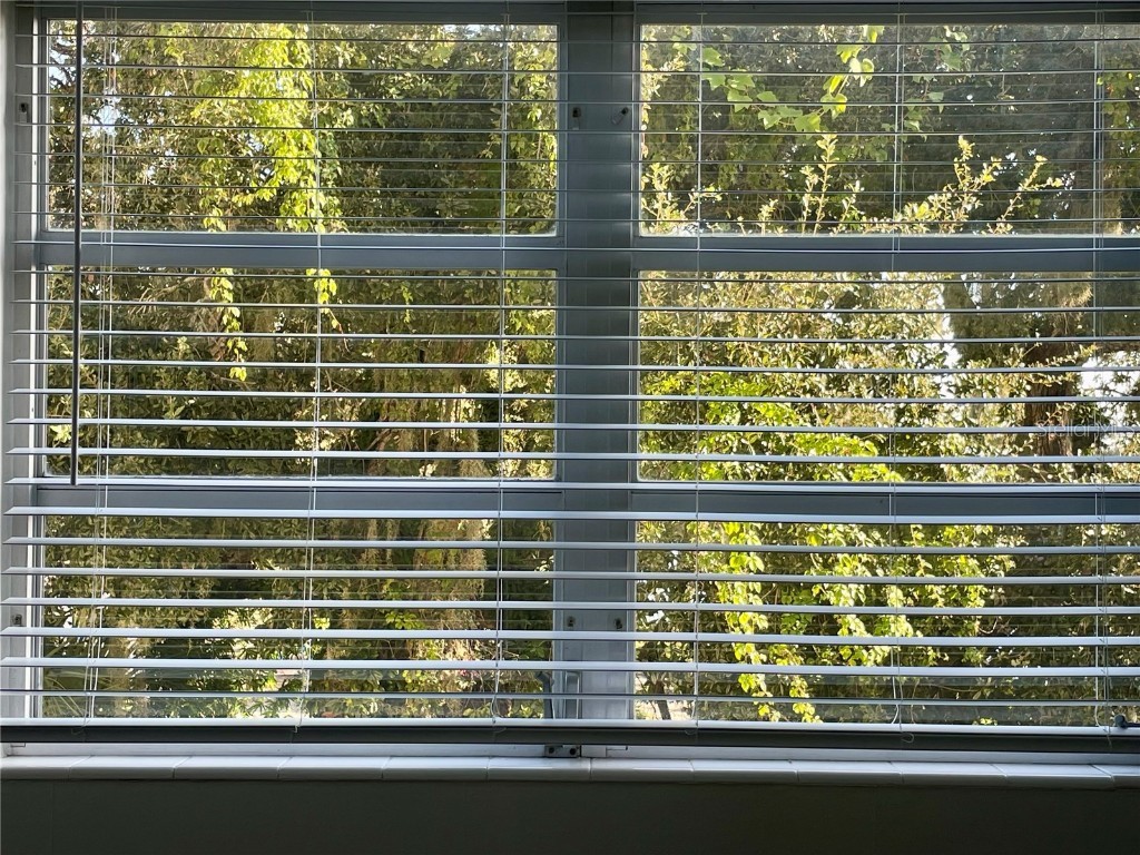 1224 S Peninsula Drive #304 Daytona Beach FL 32118 O6355920 image34