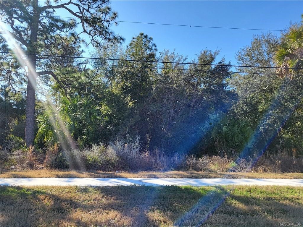 1224 S Suncoast Boulevard Homosassa FL 34448 W7885599 image1