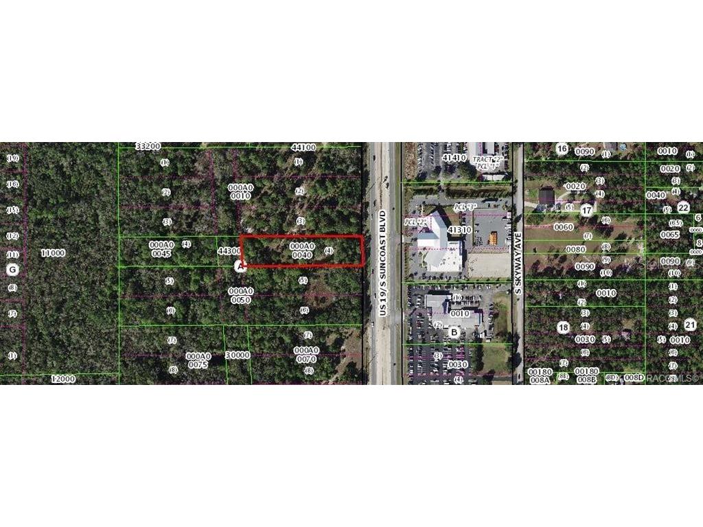 1224 S Suncoast Boulevard Homosassa FL 34448 W7885599 image5
