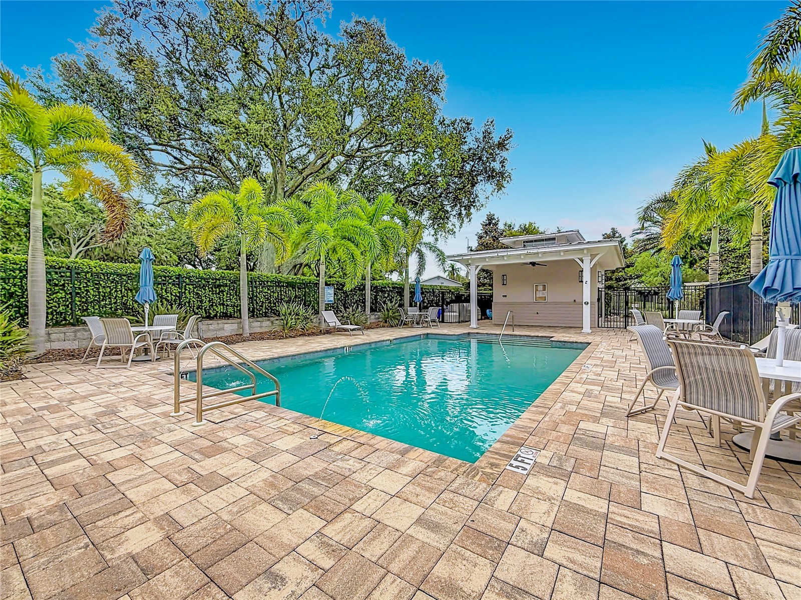 1224 Sunset Lane Dunedin FL 34698 TB8503650 image30