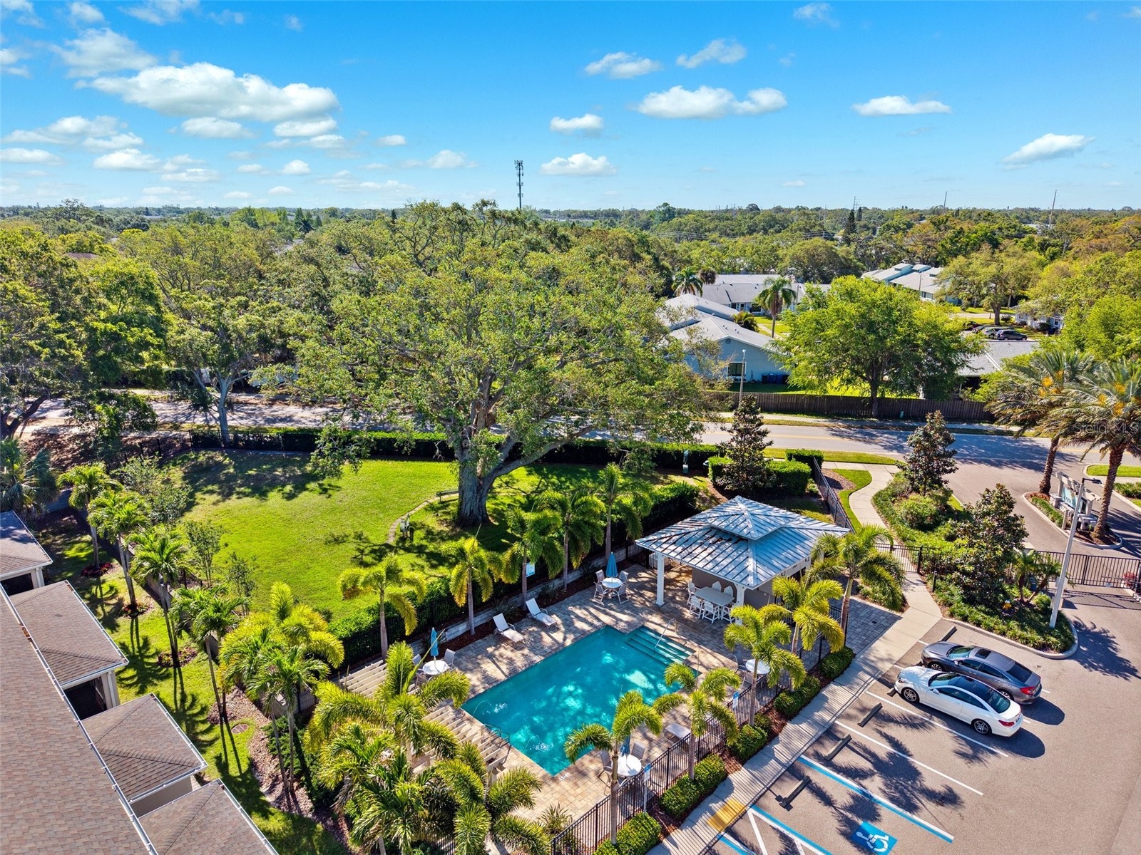 1224 Sunset Lane Dunedin FL 34698 TB8503650 image32