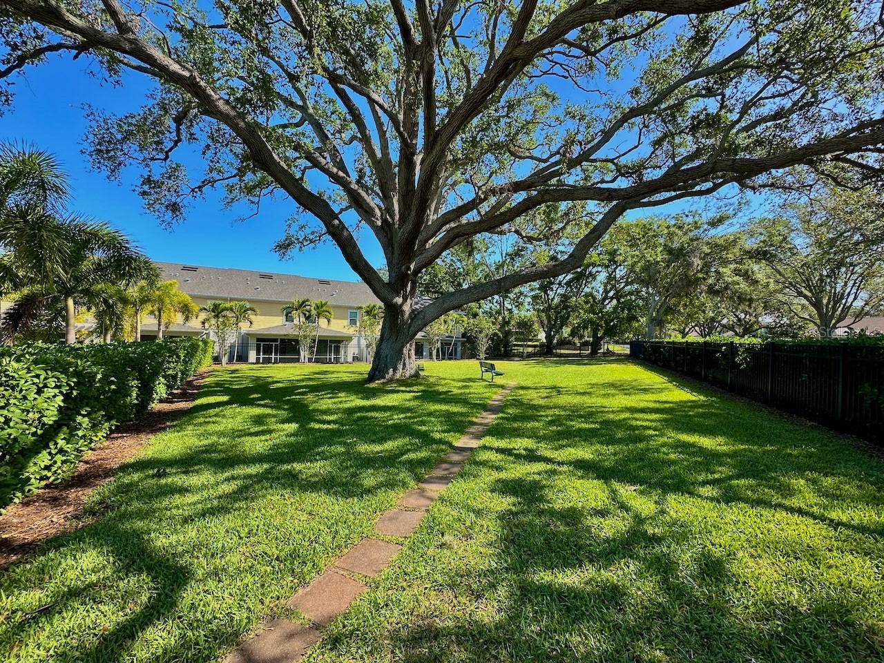 1224 Sunset Lane Dunedin FL 34698 TB8503650 image35