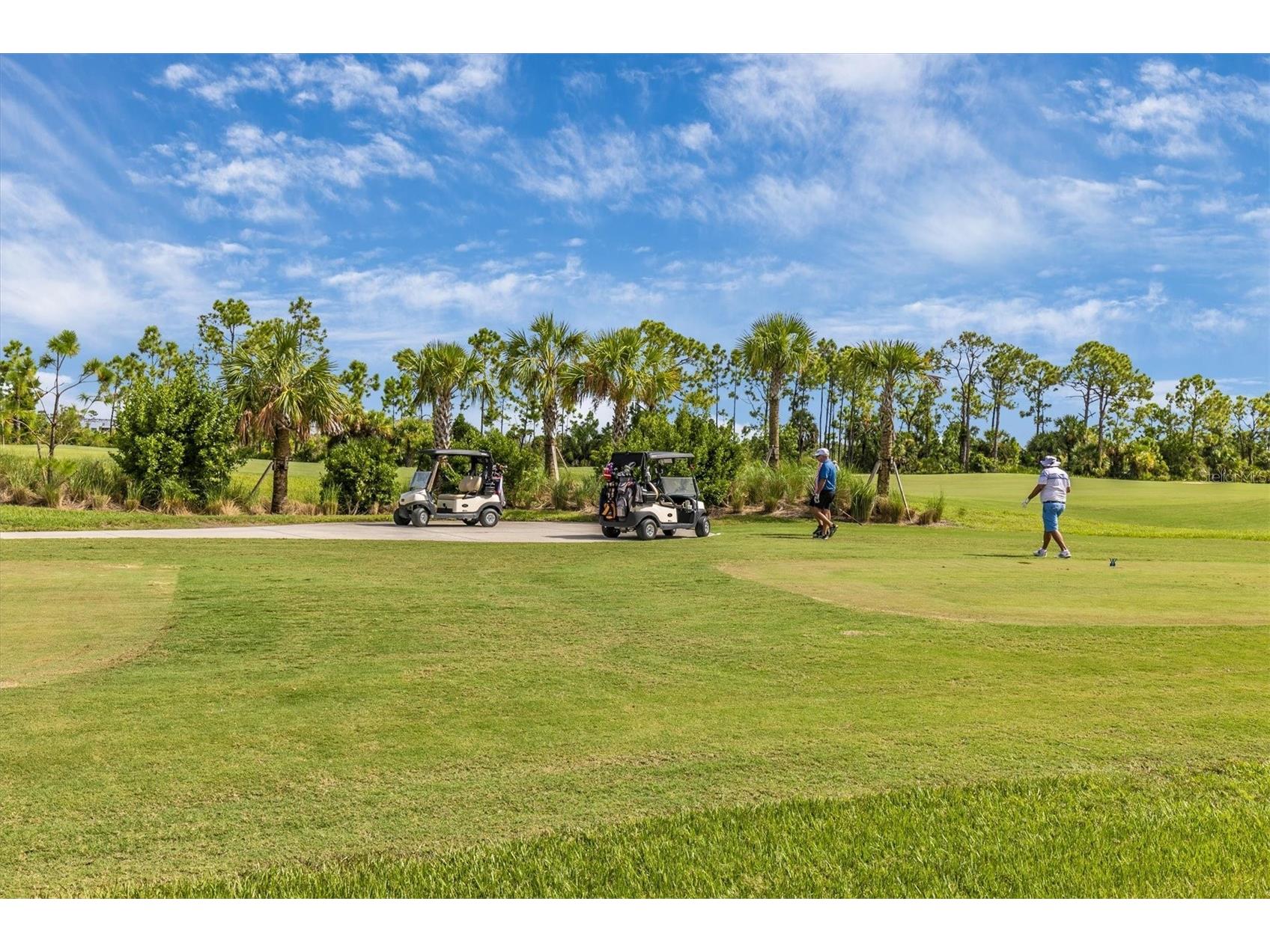 12240 Wellen Golf Street #204 Venice FL 34293 N6142773 image64
