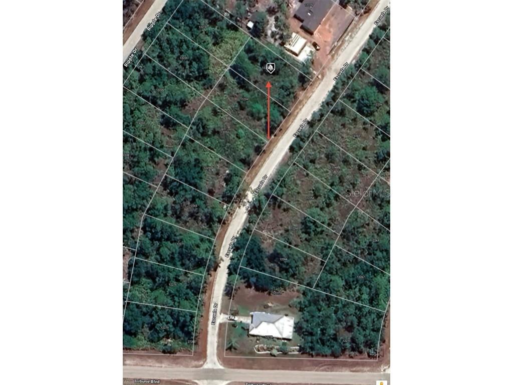 12241 Escuela Drive Punta Gorda FL 33955 O6261187 image2