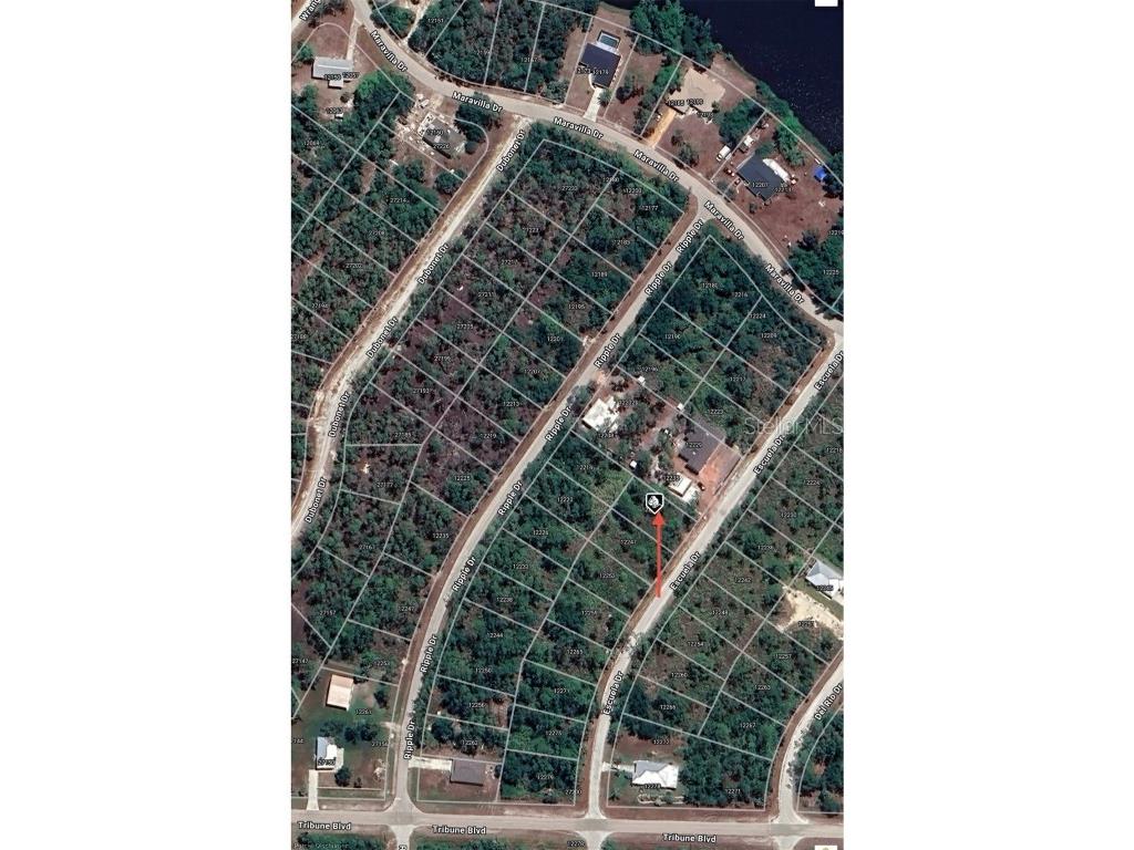 12241 Escuela Drive Punta Gorda FL 33955 O6261187 image8