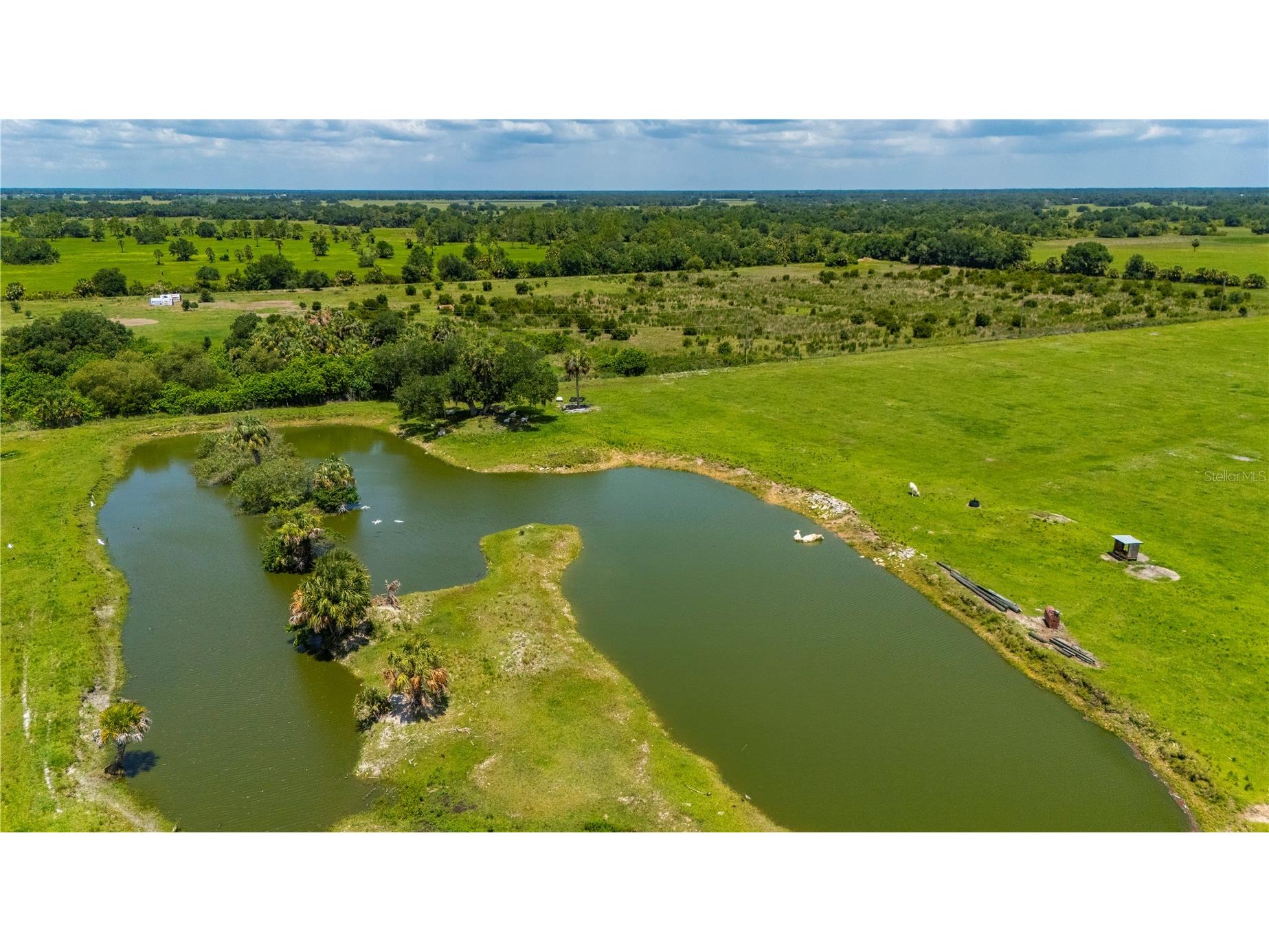 12241 SW Gordon Hay Road Arcadia FL 34269 C7527538 image67