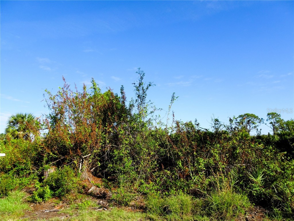 12242 Wagner Lane Port Charlotte FL 33981 D6139095 image2