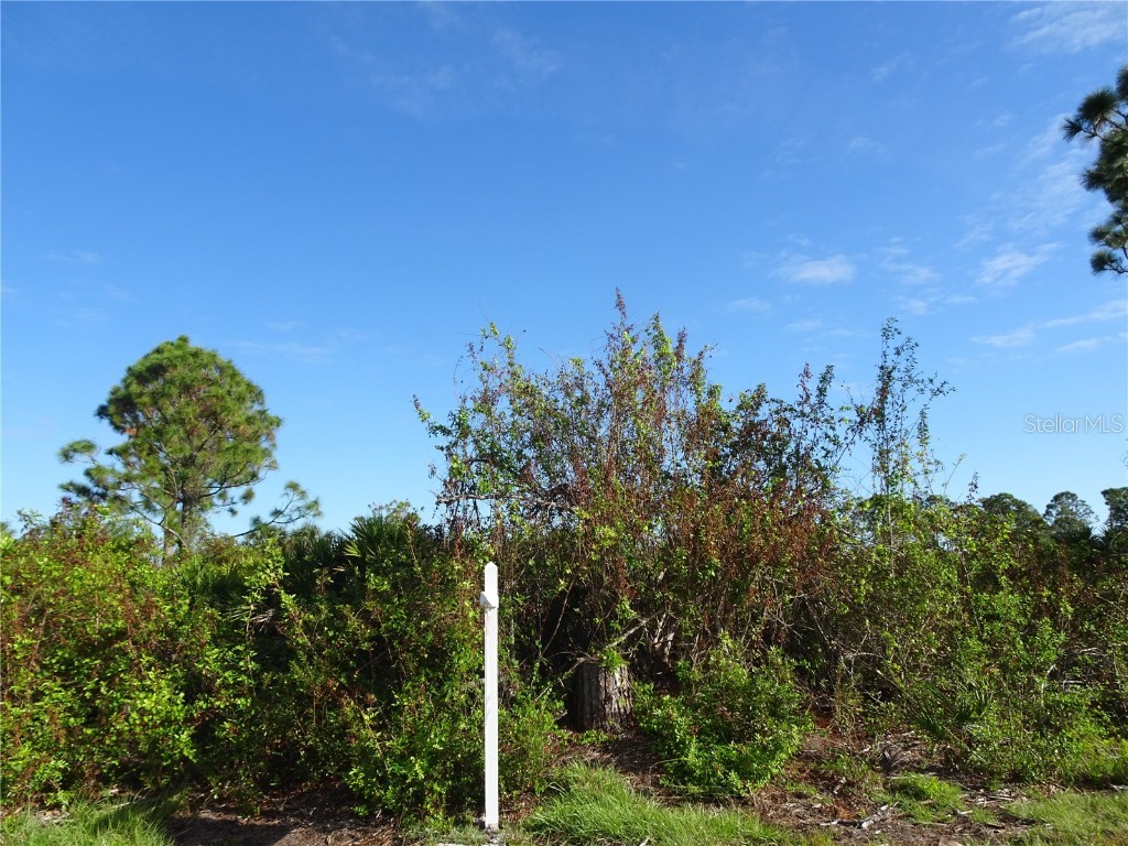 12242 Wagner Lane Port Charlotte FL 33981 D6139095 image5