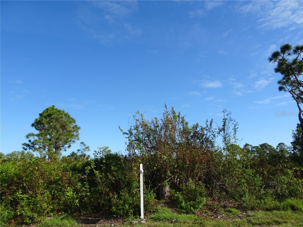 12242 Wagner Lane Port Charlotte FL 33981 D6139095 image6