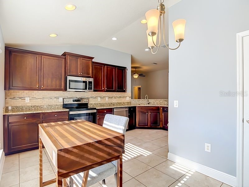 12244 Loopback Drive San Antonio FL 33576 TB8506279 image10