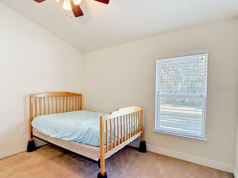 12244 Loopback Drive San Antonio FL 33576 TB8506279 image43
