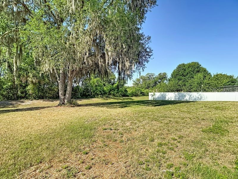 12244 Loopback Drive San Antonio FL 33576 TB8506279 image53