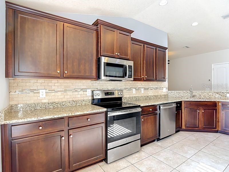 12244 Loopback Drive San Antonio FL 33576 TB8506279 image8