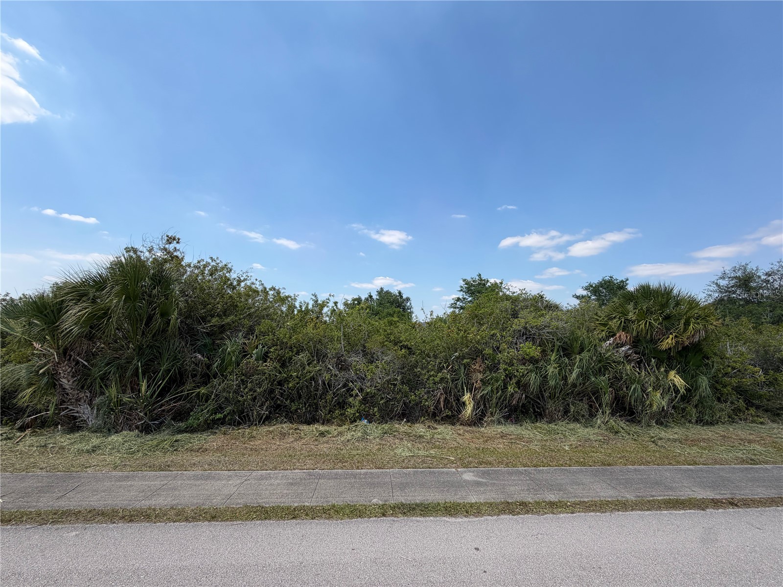 12244 N Access Road N #N/A Port Charlotte FL 33981 D6147028 image4
