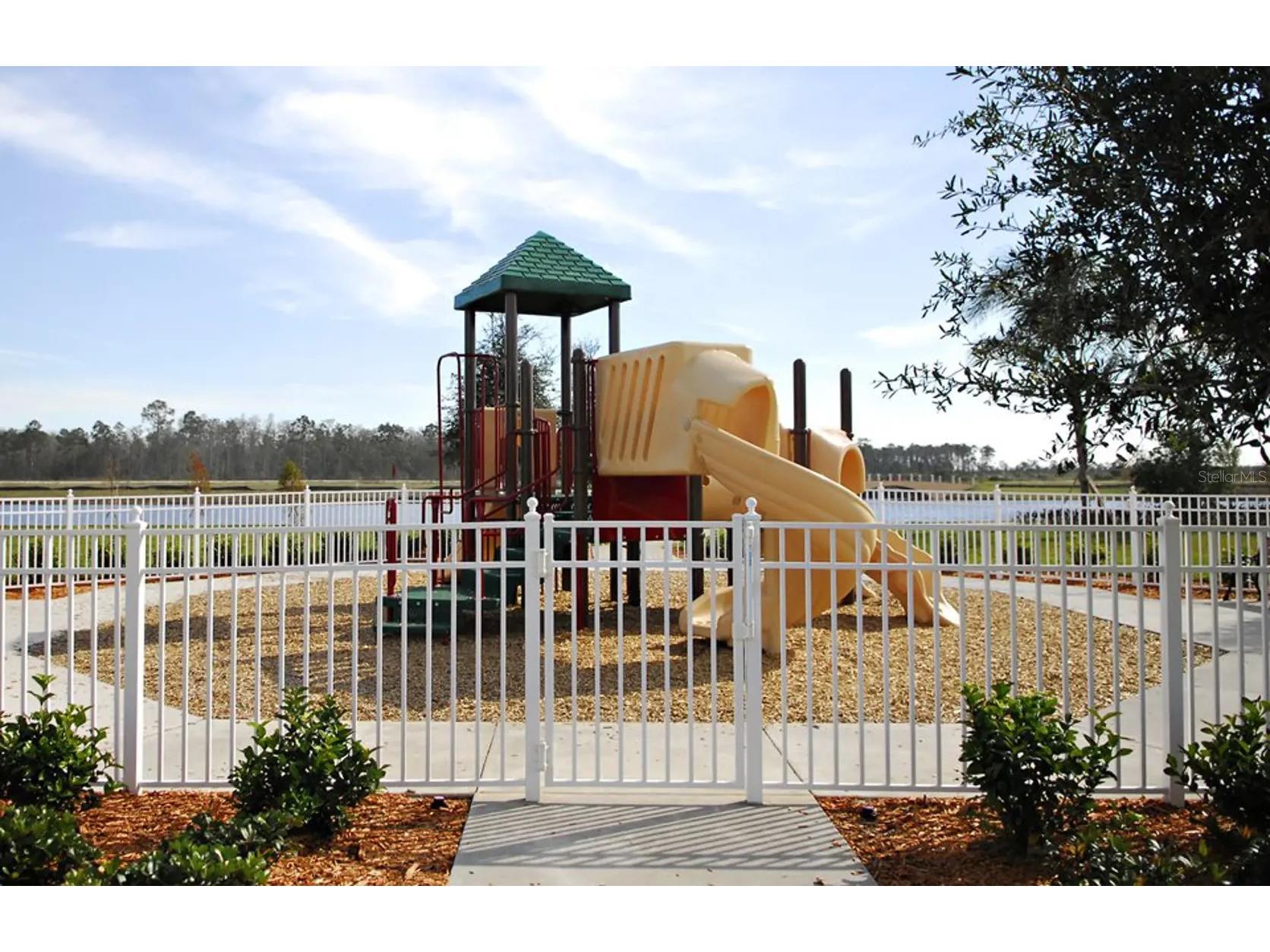 12244 Pescara Lane Orlando FL 32827 O6381360 image32